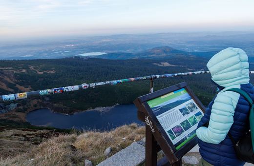 Grudzień z przyrodą i dyrektorem KPN