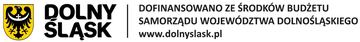 Pszczoły w wielkim mieście – od Nowego Jorku po Gryfów Śląski