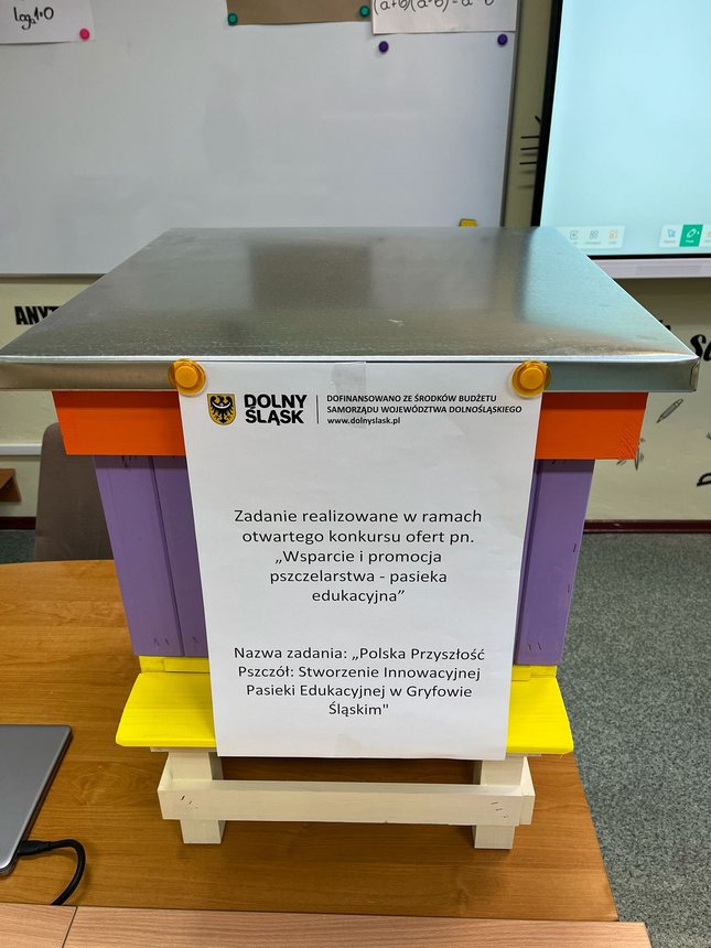 Pszczoły w wielkim mieście – od Nowego Jorku po Gryfów Śląski