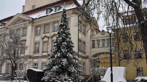Święta i Nowy Rok na małym plusie
