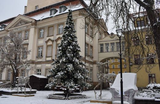Święta i Nowy Rok na małym plusie