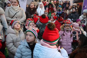 Zaklęcie "Żabek" rozświetliło miejską choinkę
