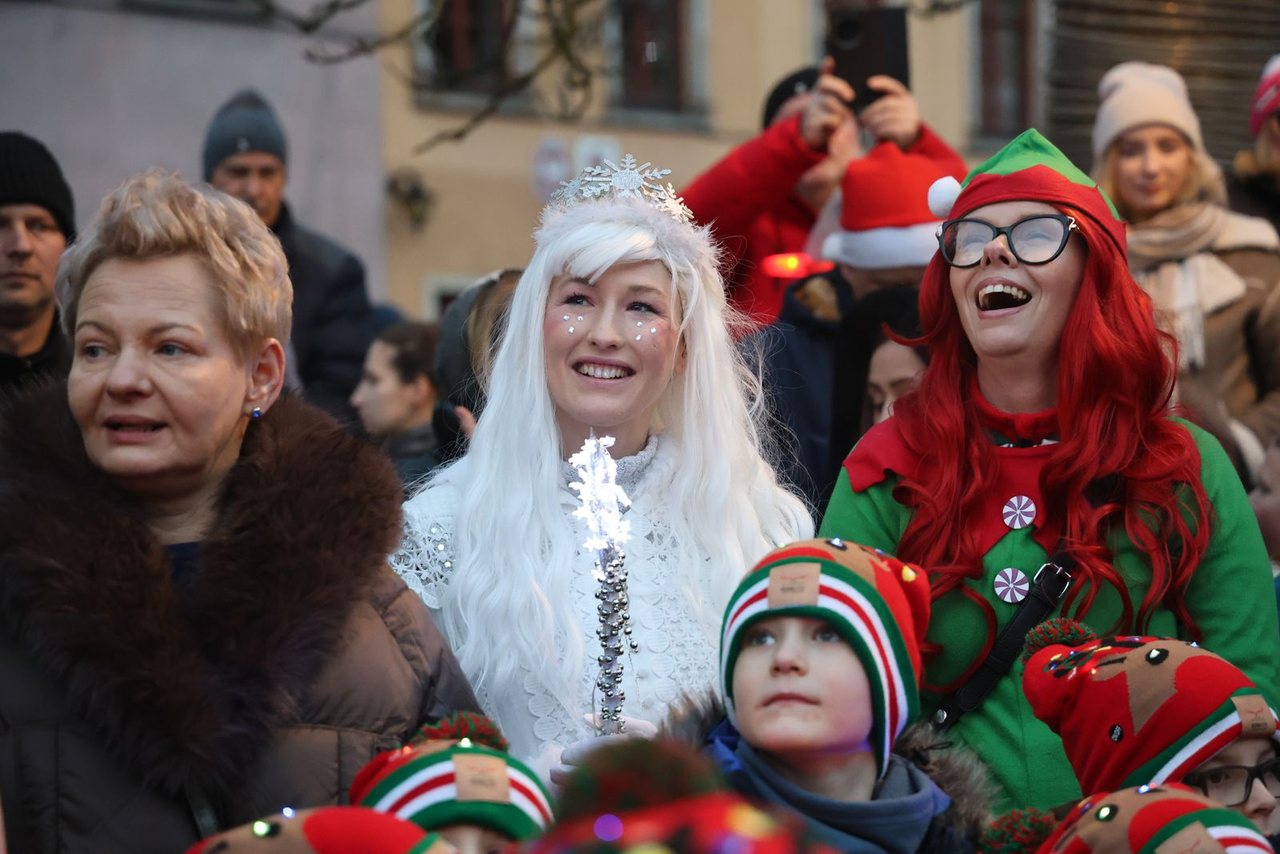 Zaklęcie "Żabek" rozświetliło miejską choinkę