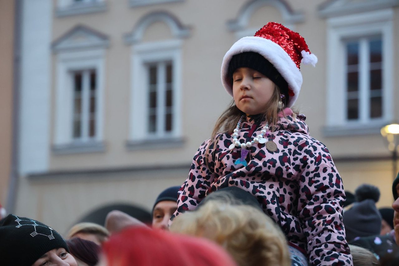 Zaklęcie "Żabek" rozświetliło miejską choinkę