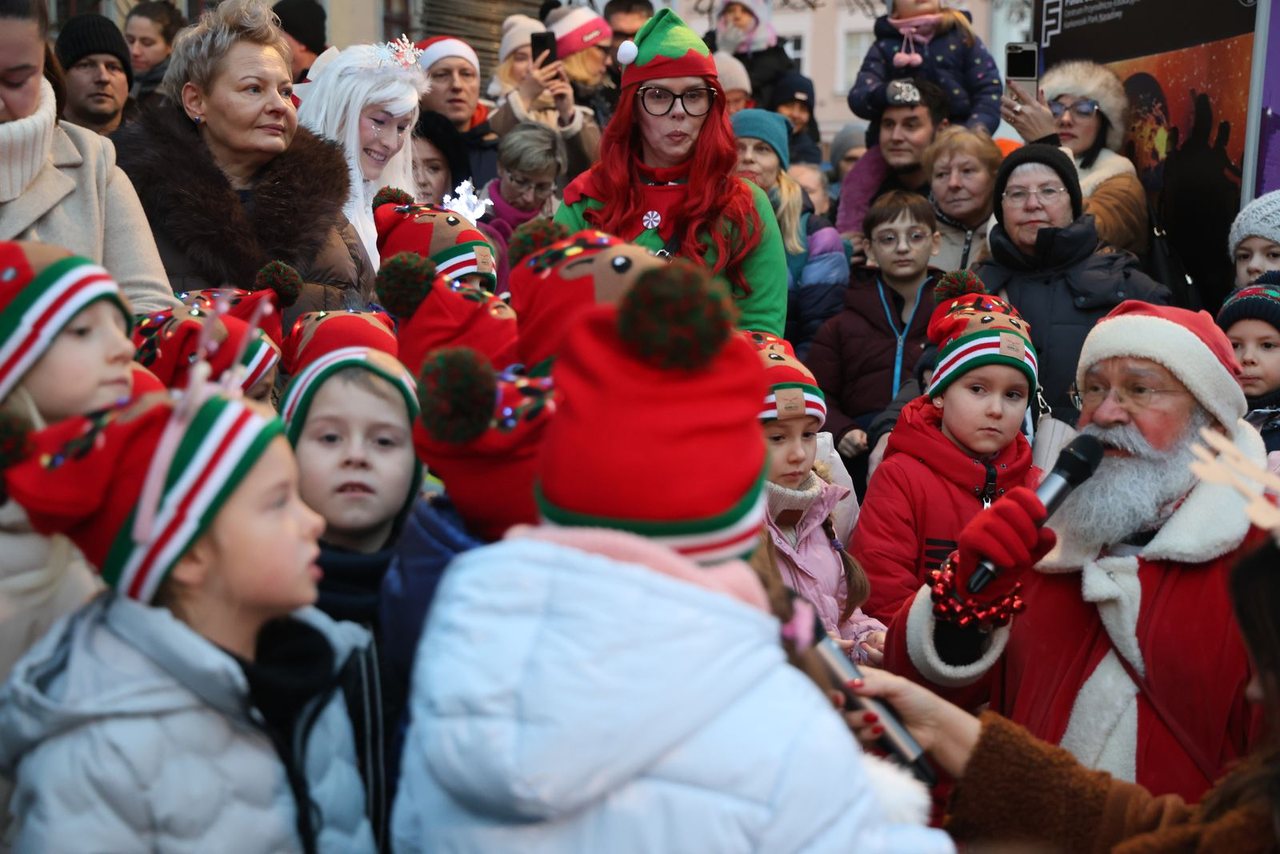 Zaklęcie "Żabek" rozświetliło miejską choinkę
