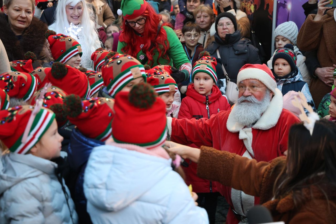 Zaklęcie "Żabek" rozświetliło miejską choinkę