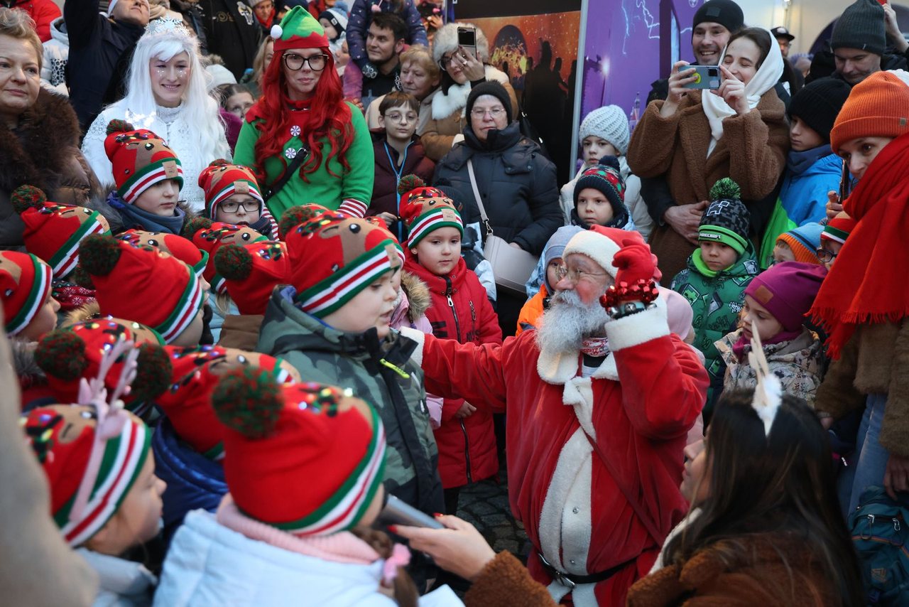 Zaklęcie "Żabek" rozświetliło miejską choinkę