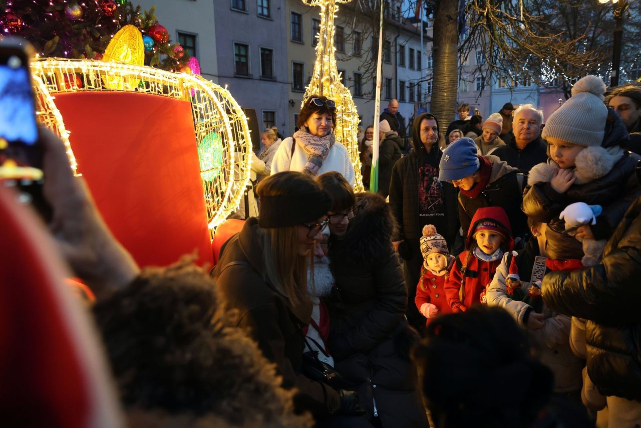 Zaklęcie "Żabek" rozświetliło miejską choinkę