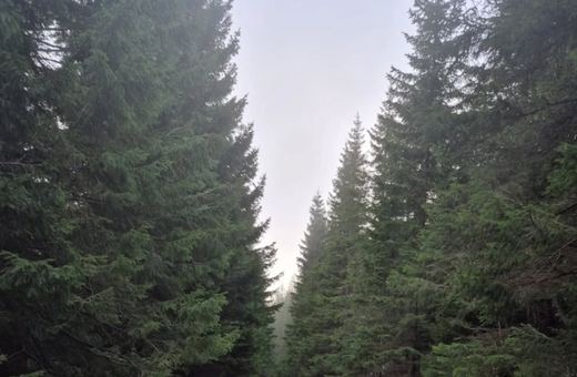 Karkonosze jak szklane góry