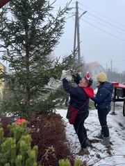 Podgórzyn i Sosnówka w świątecznym blasku