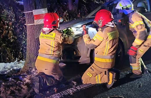 Wypadł z drogi i uderzył w drzewo