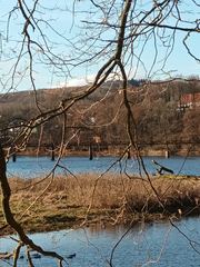 Jezioro Złotnickie – spokojna perła Pogórza Izerskiego