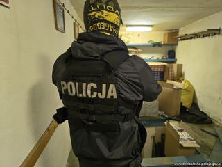 Wielka akcja przeciw gangsterom – aż 11 osób zatrzymanych