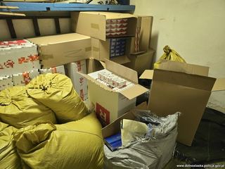 Wielka akcja przeciw gangsterom – aż 11 osób zatrzymanych
