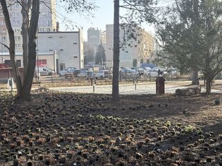 Remont parku przy Zameczku potrwa dłużej