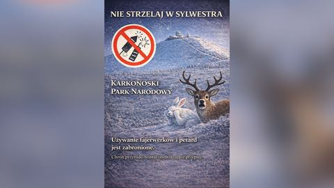 Tysiące zwierząt giną od fajerwerków
