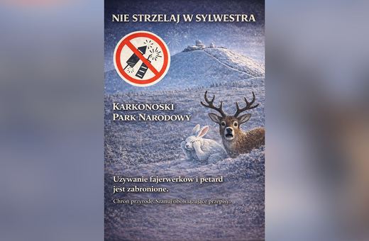 Tysiące zwierząt giną od fajerwerków