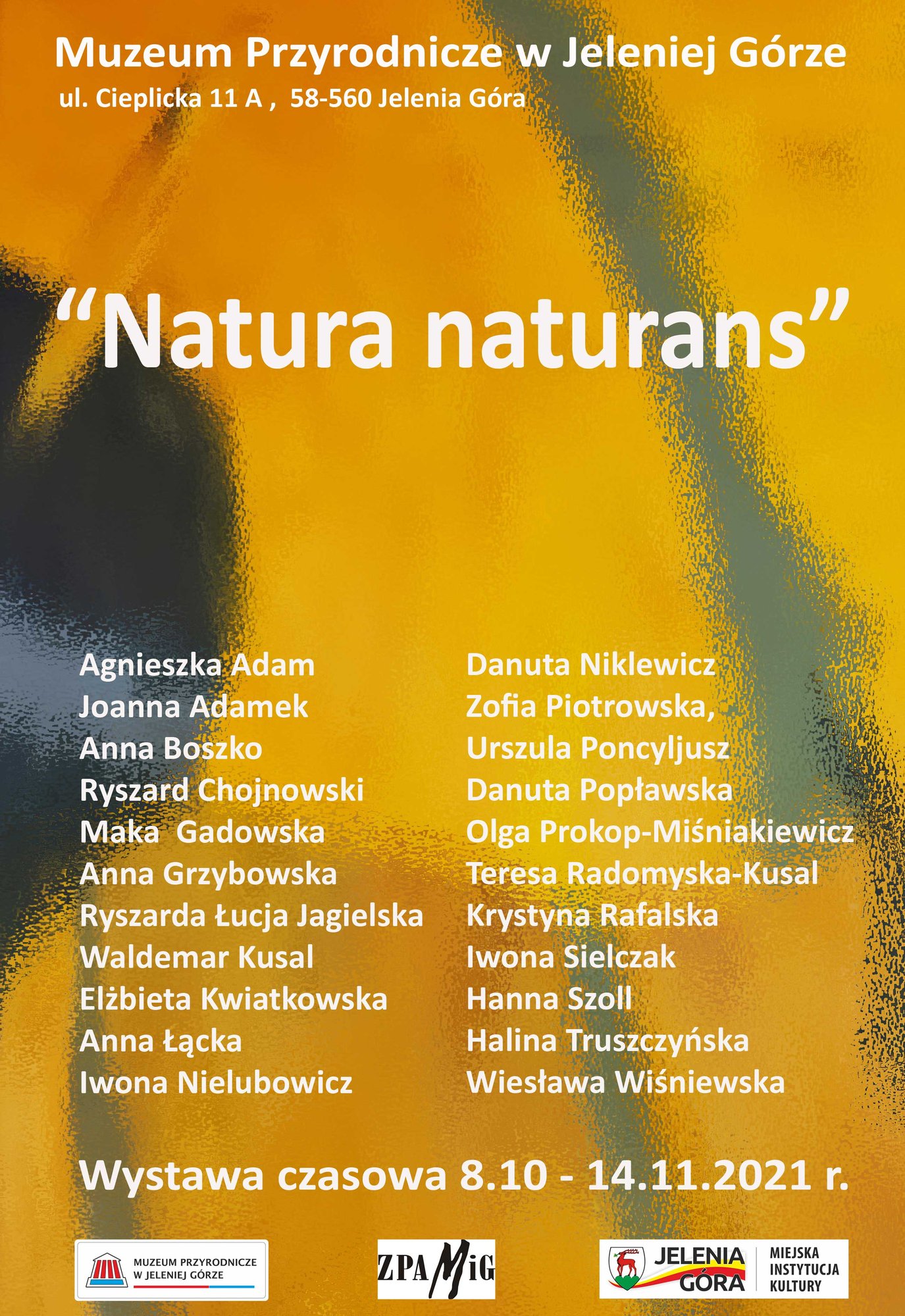 natura-naturans-w-muzeum-przyrodniczym-100085