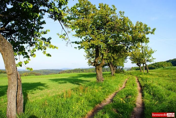 piekna-wies-dolnoslaska-100151