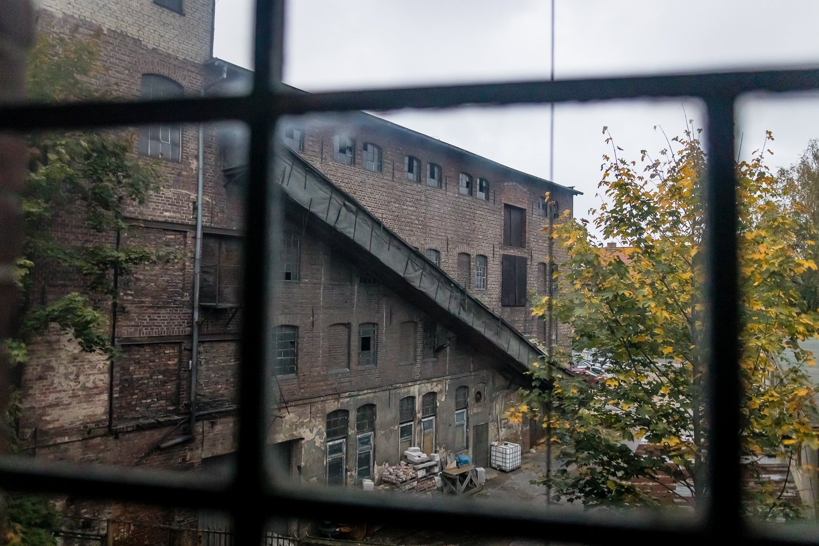 arti-jak-zwykle-zachwyci-100191
