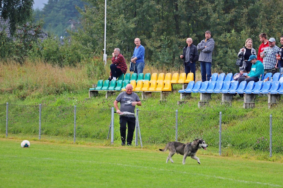 zwyciestwo-z-dedykacja-100277