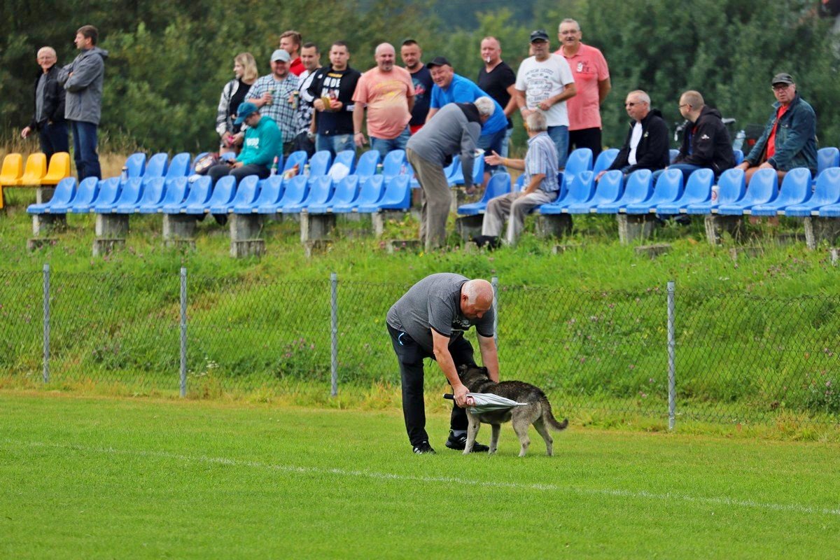 zwyciestwo-z-dedykacja-100277