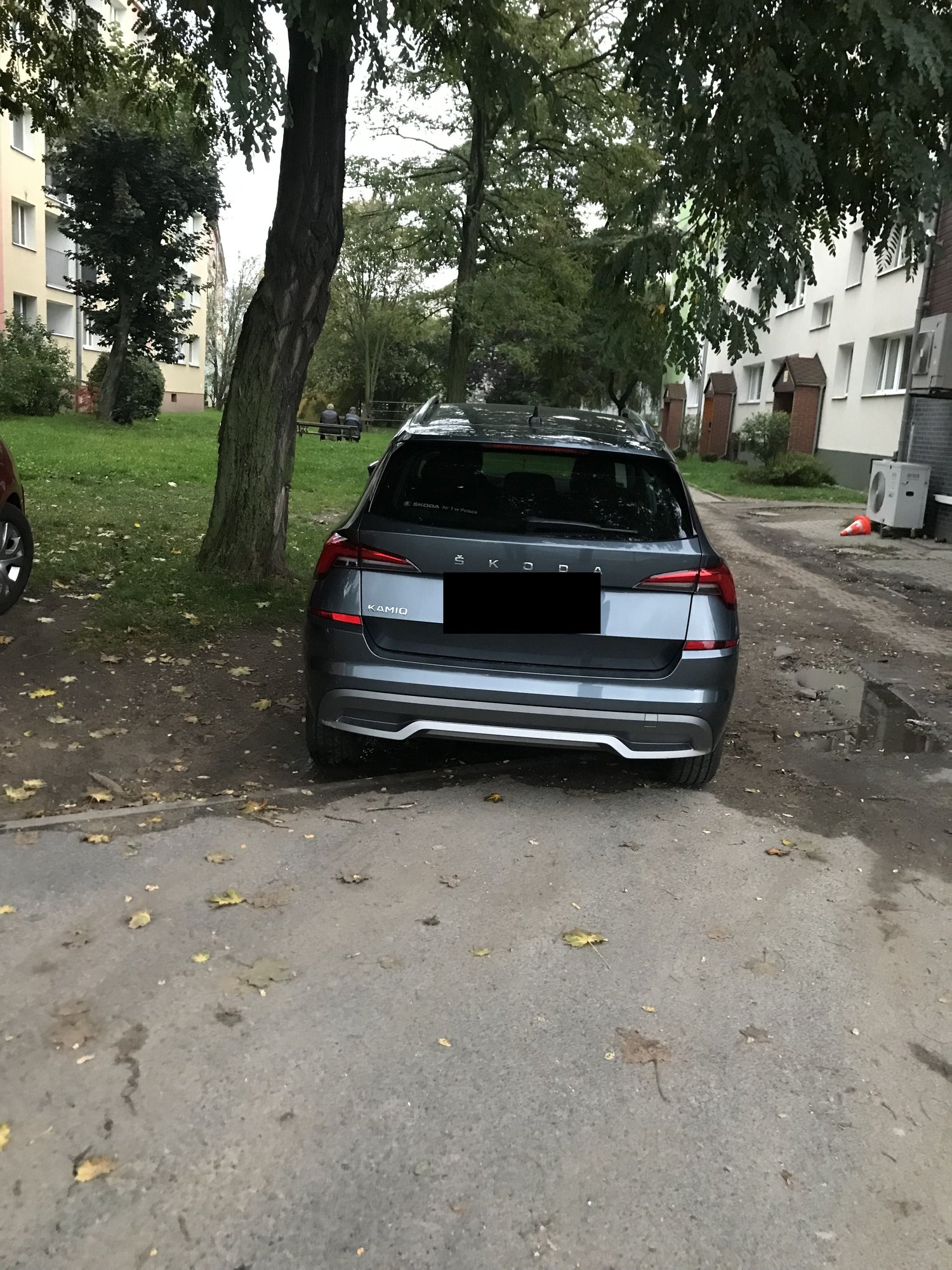 tak-niszczyli-trawnik-100287