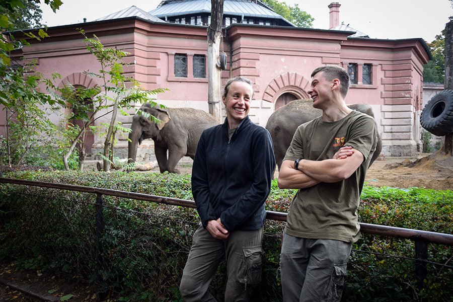 Anna Gorczyńska i Jarosław Wachol w ogrodzie zoologicznym opiekują się słoniami. Absolwenci zootechniki na UPWr/ fot. Martyna Kostrzycka / UPWr