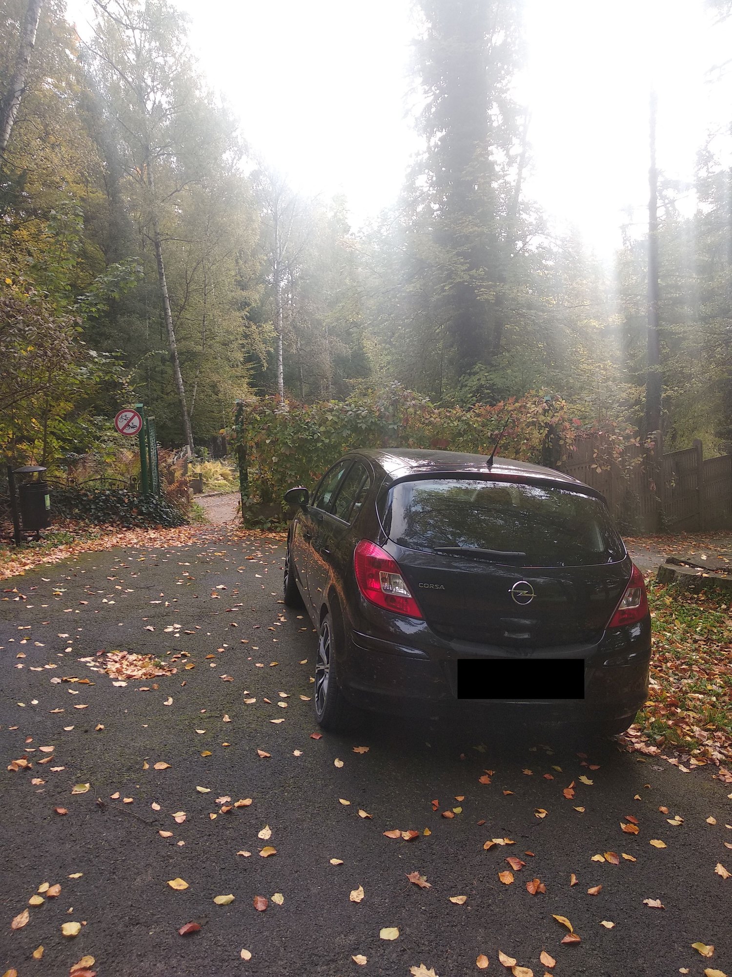 czytelnik-samochody-rozjezdzaja-miejski-park-100471