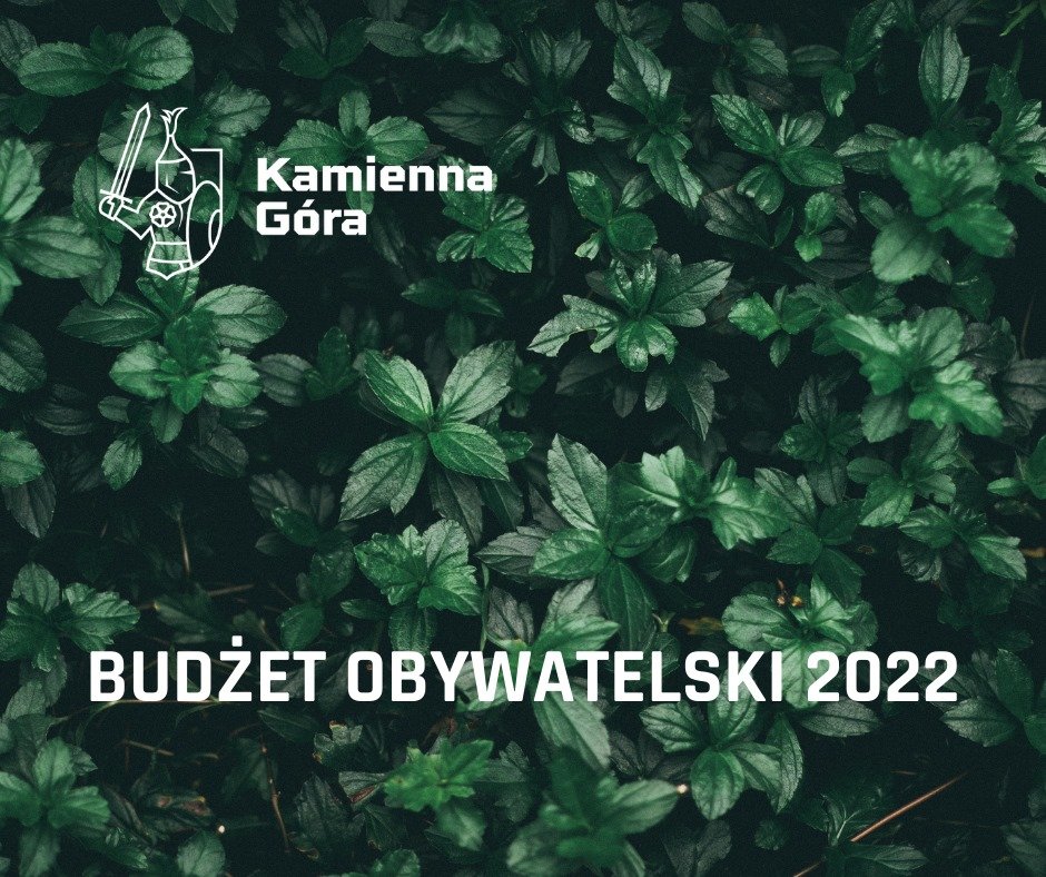 postawili-na-zielen-100527
