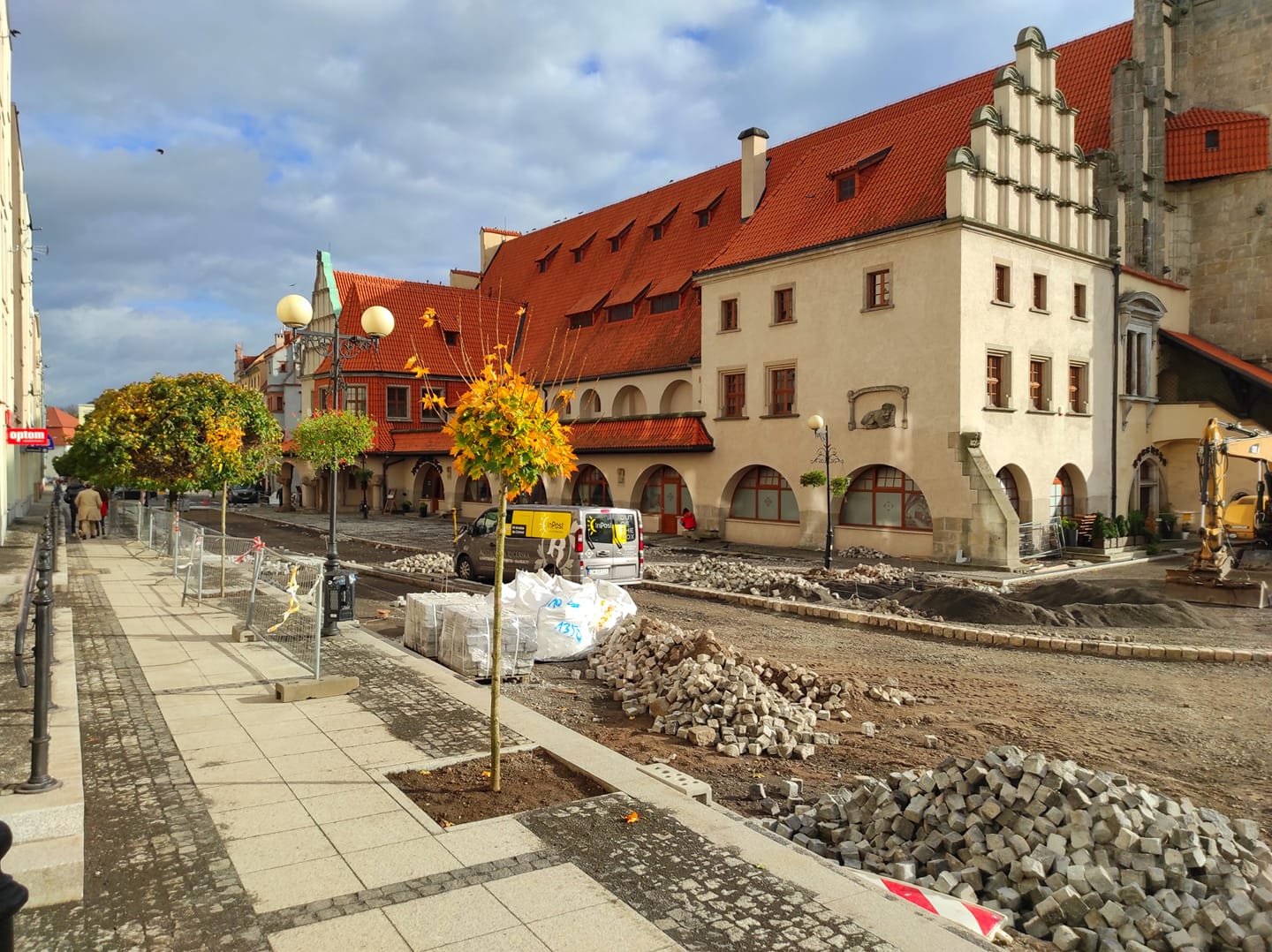 nowe-drzewa-100553