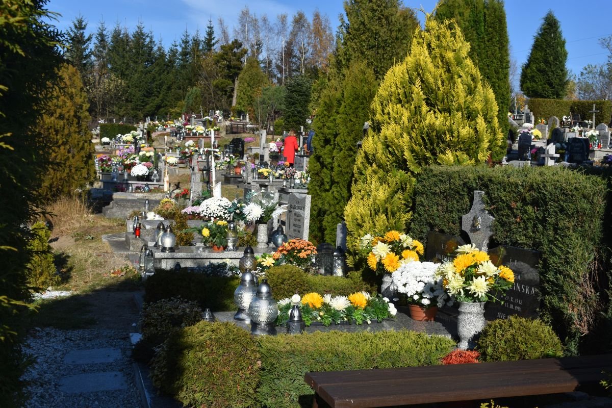 wszystkich-swietych-w-janowicach-wielkich-100754