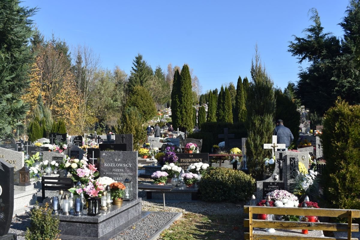 wszystkich-swietych-w-janowicach-wielkich-100754