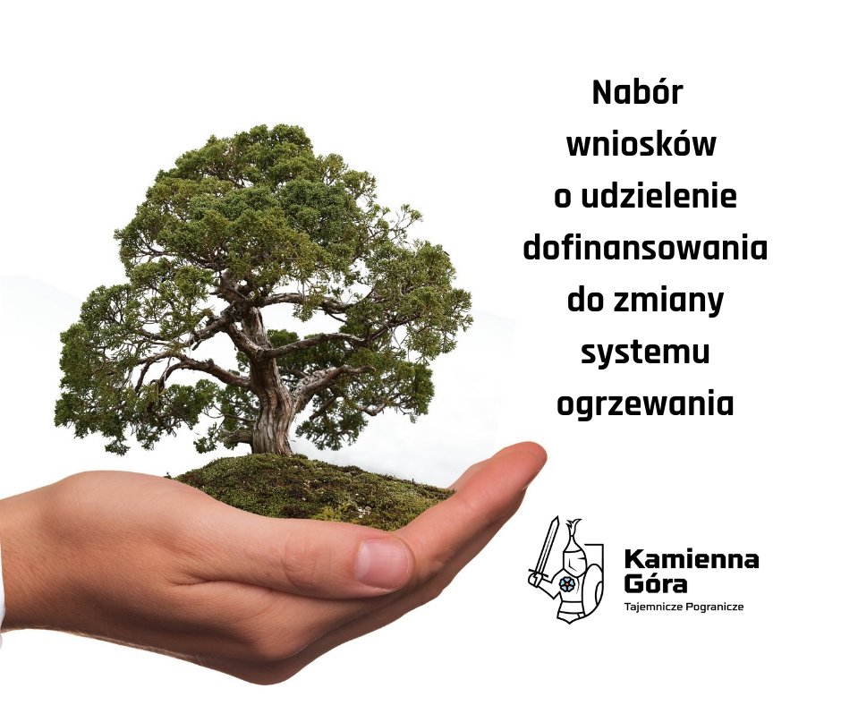 mozna-skadac-wnioski-100974