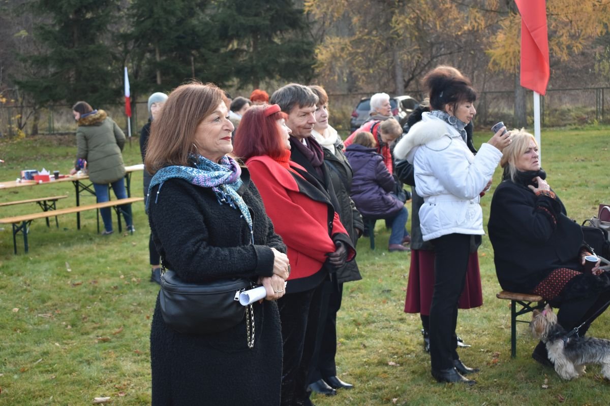pariotycznie-i-piknikowo-101008