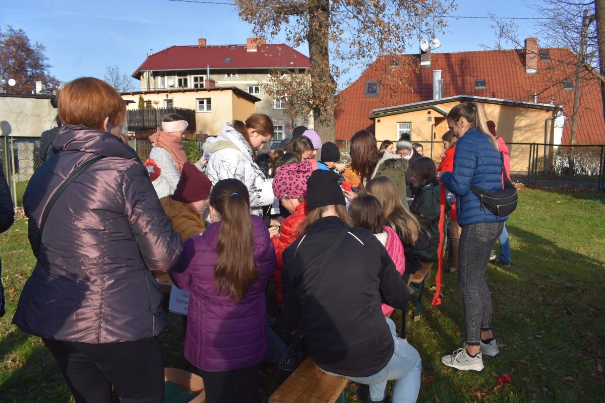 pariotycznie-i-piknikowo-101008