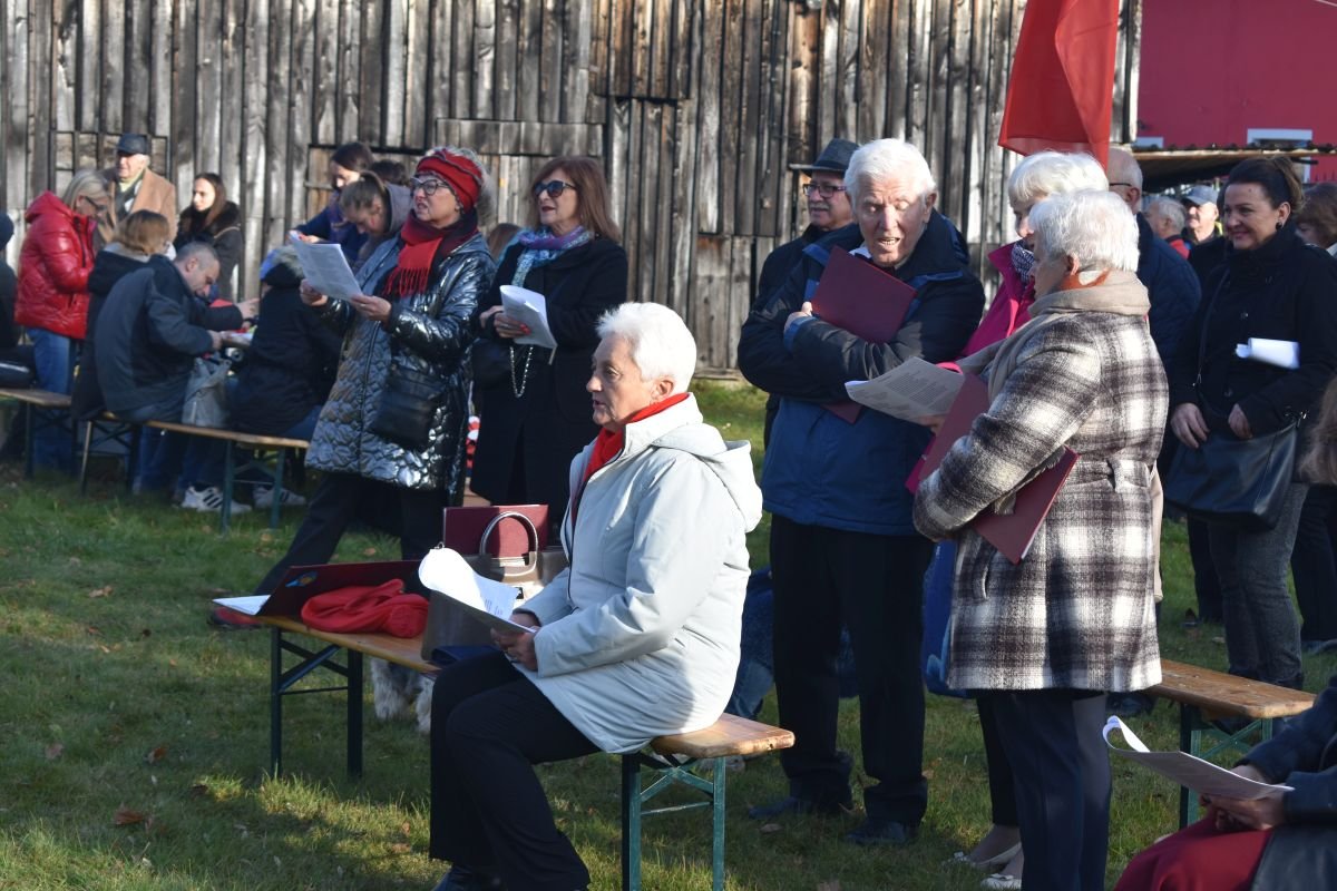 pariotycznie-i-piknikowo-101008