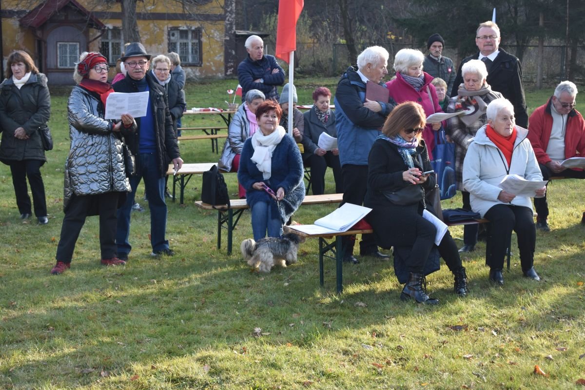 pariotycznie-i-piknikowo-101008