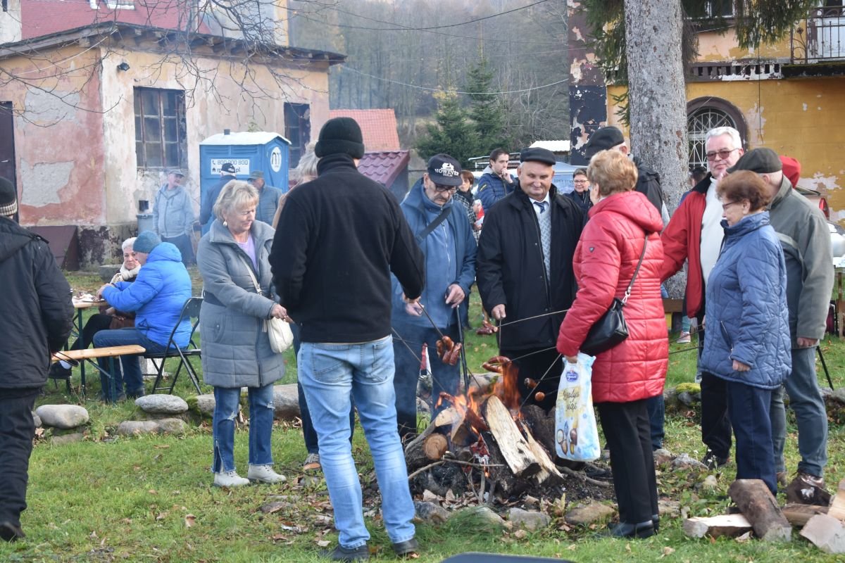 pariotycznie-i-piknikowo-101008