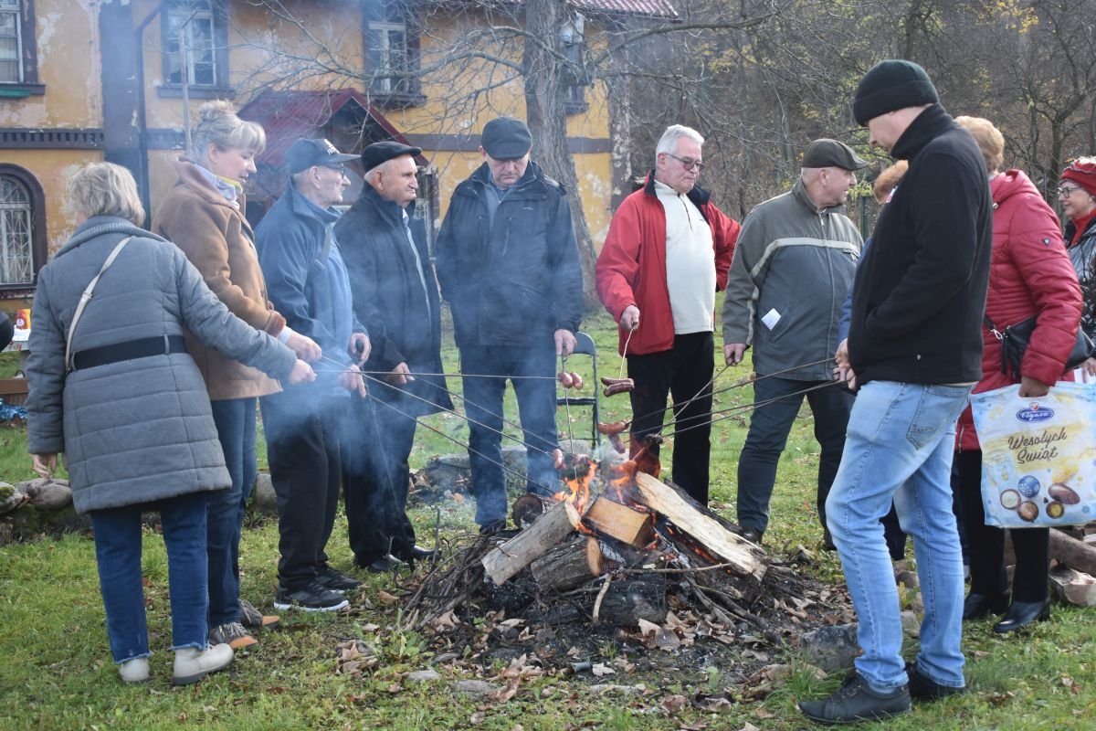 pariotycznie-i-piknikowo-101008
