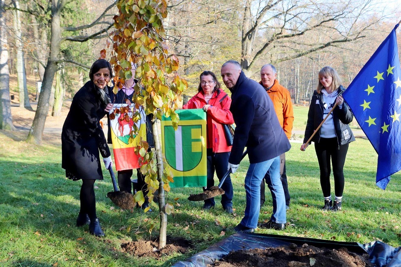 posadzili-drzewko-przyjazni-jelenia-gora-erftstadt-101031