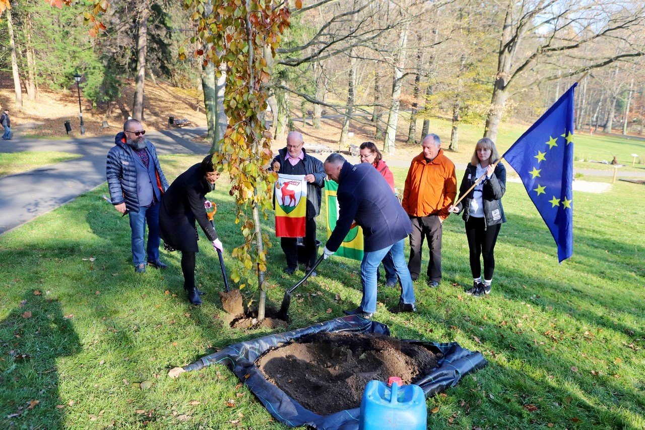 posadzili-drzewko-przyjazni-jelenia-gora-erftstadt-101031