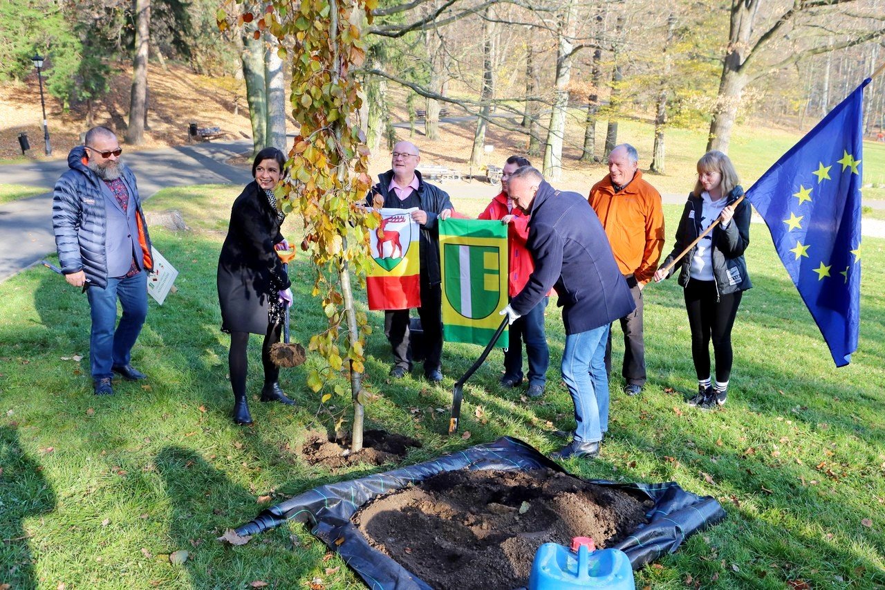 posadzili-drzewko-przyjazni-jelenia-gora-erftstadt-101031