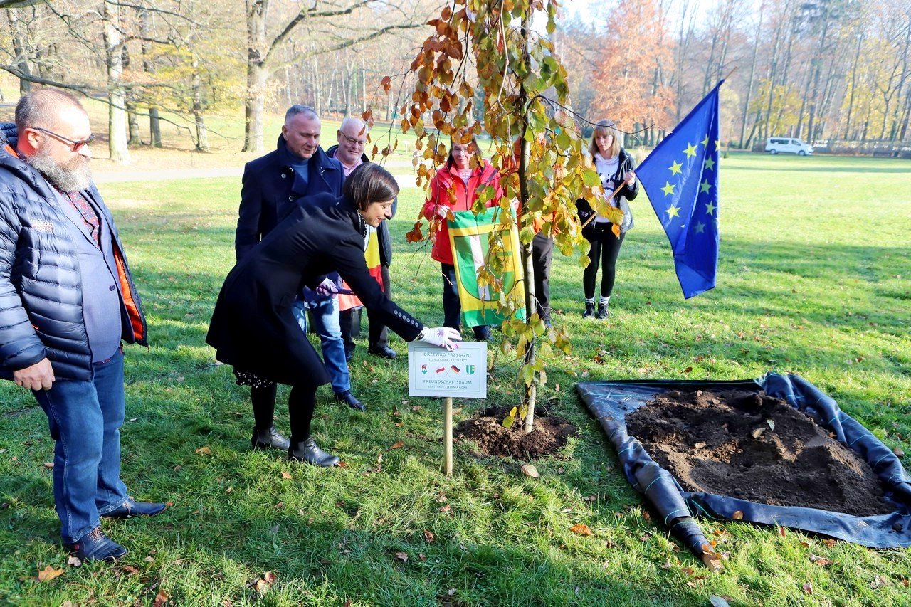 posadzili-drzewko-przyjazni-jelenia-gora-erftstadt-101031