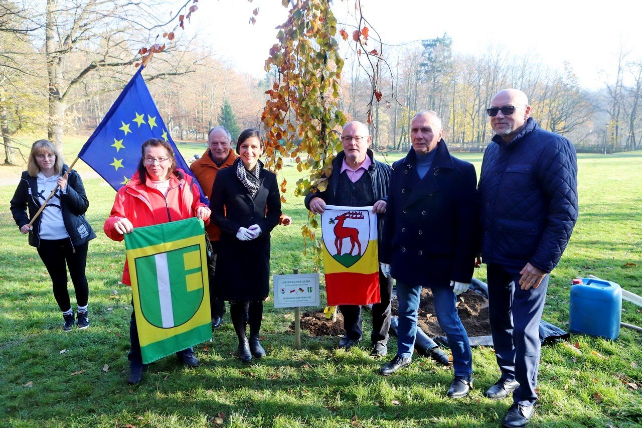 posadzili-drzewko-przyjazni-jelenia-gora-erftstadt-101031