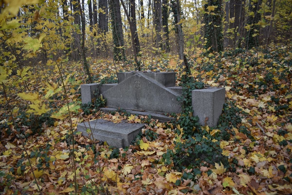 kto-zadba-o-dawny-cmentarz-zydowski-101215
