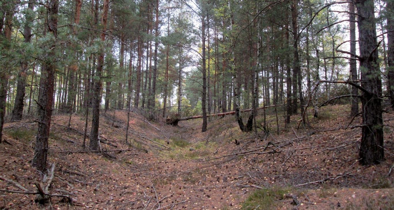 Wały śląskie/fot. sciezkawbok.wordpress.com