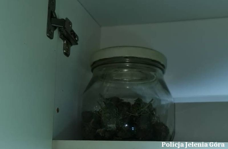 para-z-narkotykami-101331