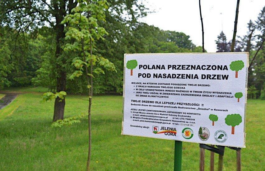 wandale-w-parku-101336