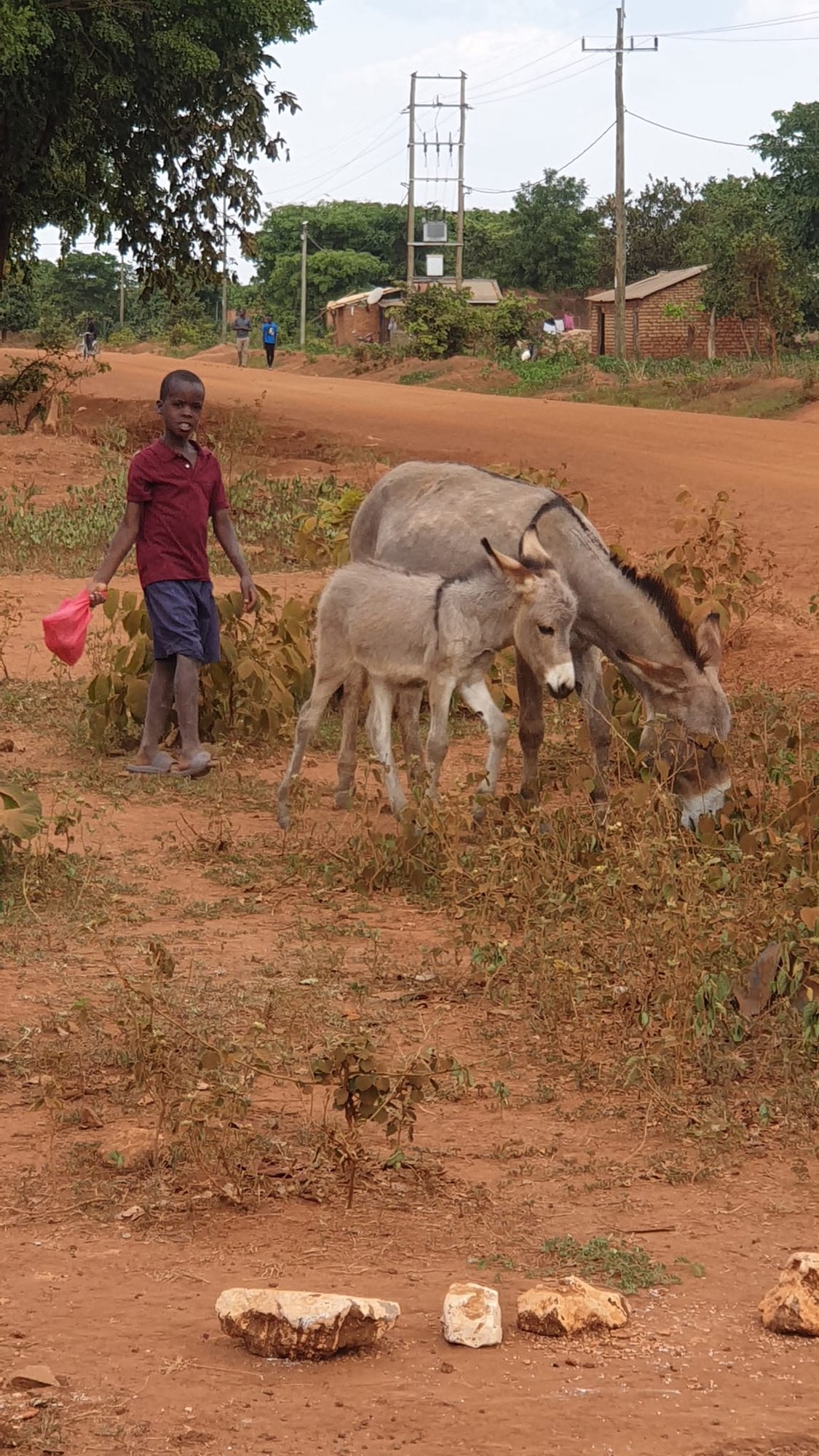 medycy-wrocili-z-tanzanii-101587
